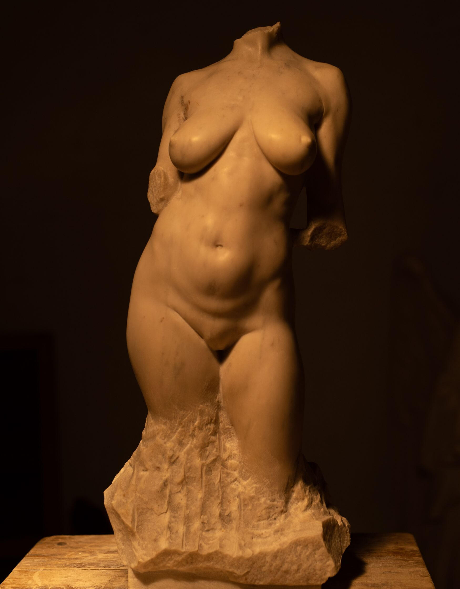 Viverra orci dapibus